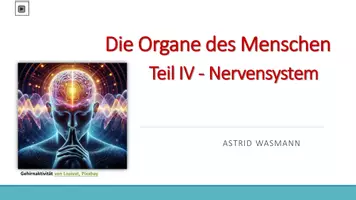 Vorschau - Arbeitsblätter - Materialpaket Organe des Menschen - Seite 2