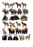 Vorschau - selbst erstellte Cliparts/Grafiken - 100 Cliparts: Tiere - Seite 2