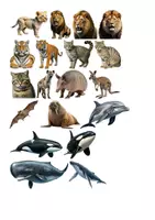 Vorschau - selbst erstellte Cliparts/Grafiken - 100 Cliparts: Tiere - Seite 3