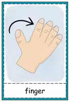 Vorschau - Präsentationen/Tafelbilder - Flahscards body parts - Seite 2