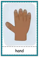Vorschau - Präsentationen/Tafelbilder - Flahscards body parts - Seite 3
