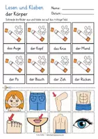 Vista previa - Hojas de trabajo - KÖRPERTEILE Lesen und Kleben Deutsch / Alemán - página 2