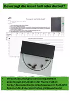 Vorschau - Arbeitsblätter - Lebensraum Assel - Materialpaket - Seite 2