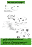 Vorschau - Arbeitsblätter - Steckbrief Kellerassel Wirbellose - Deckblatt