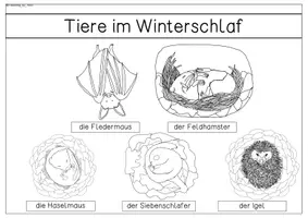 Vorschau - Arbeitsblätter - Tiere im Winter - Materialpaket - Seite 2