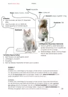 Vorschau - Klassenarbeiten - Klassenarbeit Tierbeschreibung/Suchanzeige einer Katze - Deckblatt