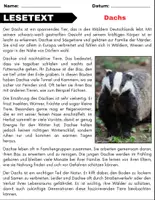 Vorschau - Arbeitsblätter - Dachs: Leseverständnis und Kreuzworträtsel mit Lösungen - Seite 1