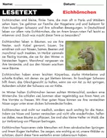 Vorschau - Spiele - Eichhörnchen: Leseverständnis und Kreuzworträtsel mit Lösungen - Seite 2