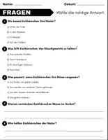 Vorschau - Spiele - Eichhörnchen: Leseverständnis und Kreuzworträtsel mit Lösungen - Seite 3