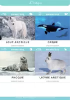 Aperçu - Cartes / Images - cartes nomenclature - Régions polaires par LEDB - Page de couverture