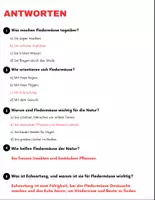 Vorschau - Spiele - Fledermaus: Leseverständnis und Kreuzworträtsel mit Lösungen - Seite 3
