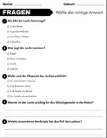 Vorschau - Spiele - Der Luchs: Leseverständnis und Kreuzworträtsel mit Lösungen - Seite 2