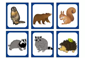 Vorschau - Bildkarten - Tiere im Winter/Überwinterungsstrategien - Legematerial - Seite 1