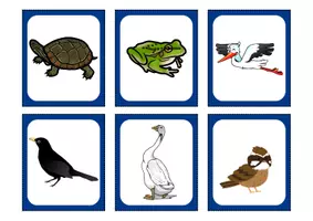 Vorschau - Bildkarten - Tiere im Winter/Überwinterungsstrategien - Legematerial - Seite 3