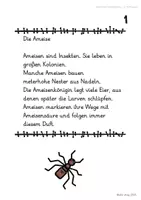 Vorschau - Arbeitsblätter - 90 Sachtexte, zu 15 Tieren (Abschreibtexte, Groß- und Kleinschreibung, Wortarten, Fehler korrigieren) - Seite 3