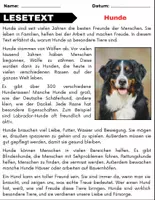 Vorschau - Spiele - Hunde: Leseverständnis und Kreuzworträtsel mit Lösungen - Seite 1