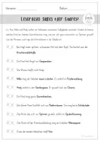 Vorschau - Arbeitsblätter - Leserätsel / Logicals - Halloween - Seite 3