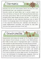 Vorschau - Arbeitsblätter - "Weihnachtsgewürze" | Kartei für Sachunterricht - Seite 2