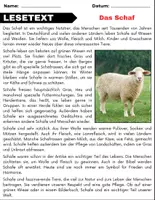 Vorschau - Spiele - Das Schaf: Leseverständnis und Kreuzworträtsel mit Lösungen - Seite 1