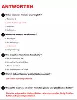 Vorschau - Arbeitsblätter - Materialpaket: Haustiere - Leseverständnis und Kreuzworträtsel mit Lösungen - Seite 3