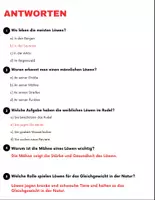 Vorschau - Spiele - Der Löwe: Leseverständnis und Kreuzworträtsel mit Lösungen - Seite 3