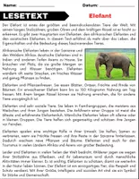 Vorschau - Spiele - Elefant: Leseverständnis und Kreuzworträtsel mit Lösungen - Seite 1