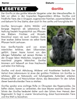 Vorschau - Spiele - Gorilla: Leseverständnis und Kreuzworträtsel mit Lösungen - Seite 1