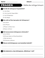 Vorschau - Arbeitsblätter - Schimpanse: Leseverständnis und Kreuzworträtsel mit Lösungen - Seite 2