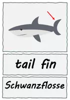 Vorschau - Stationenlernen - Surface tension of water - Seite 3
