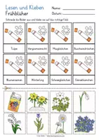 Vorschau - Arbeitsblätter - Frühblüher Sachunterricht Lesen und Kleben Arbeitsblätter - Seite 3