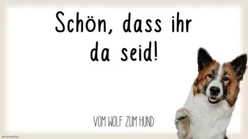 Vorschau - Arbeitsblätter - Vom Wolf zum Hund (interaktive Datei, ABs, Videos, Spielideen etc.) - Seite 2