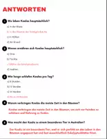 Vorschau - Arbeitsblätter - Koala: Leseverständnis und Kreuzworträtsel mit Lösungen - Seite 3