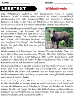 Vorschau - Arbeitsblätter - Wildschwein: Leseverständnis und Kreuzworträtsel mit Lösungen - Seite 1