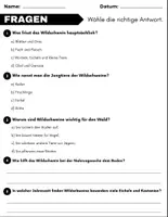 Vorschau - Arbeitsblätter - Wildschwein: Leseverständnis und Kreuzworträtsel mit Lösungen - Seite 2