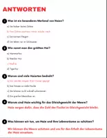 Vorschau - Spiele - Haie: Leseverständnis und Kreuzworträtsel mit Lösungen - Seite 3