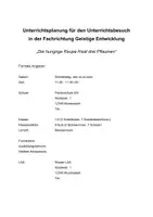 Vorschau - Stundenentwürfe - Unterrichtsentwurf Raupe Nimmersatt Deutsch Motorik Note 1,0 - Seite 1