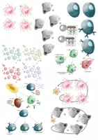 Aperçu - Cliparts/Visuels - Clipart-Set: Réaction immunitaire - Page 2