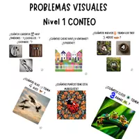 Vista previa - Tarjetas / Manipulativos - PROBLEMAS VISUALES Nivel 1 CONTEO (PARTE 2) - Portada