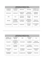 Vorschau - Spiele - Politik-Bingo: Europäische Union (EU) - Seite 2
