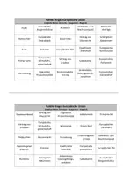 Vorschau - Spiele - Politik-Bingo: Europäische Union (EU) - Seite 3