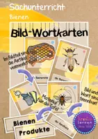 Vorschau - Bildkarten - NaWi / Sachunterricht: Bienen - Bildkarten - Deckblatt