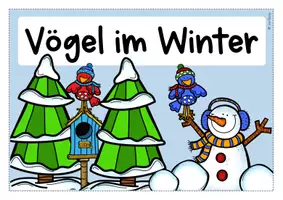 Vorschau - Poster - Vögel im Winter (Poster zum Einstieg, Vorwissen abfragen) - Deckblatt