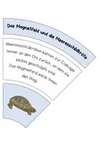 Vorschau - Spiele - Magnetismus - Legekreis Das Magnetfeld und die Tiere - Seite 3