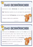Vorschau - Fördermaterial/Inklusion - TIERE IM WINTER Wissenskartei und Arbeitsheft - Seite 2