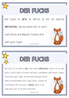 Vorschau - Fördermaterial/Inklusion - TIERE IM WINTER Wissenskartei und Arbeitsheft - Seite 3