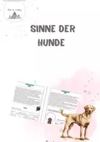 Vorschau - Arbeitsblätter - Sinne der Hunde - Deckblatt