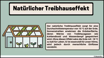 Vorschau - Mal- und Bastelvorlagen - KLIMAWANDEL MEGAPAKET: Lernkarten und Übungsaufgaben zum KLIMAWANDEL, VEGETATIONSZONEN, WÜSTEN, TROPISCHER REGENWALD, KLIMADIAGRAMMEN, WETTER UND KLIMA und der POLAREN ZONE - Erdkunde für die Sek 1 - Seite 3