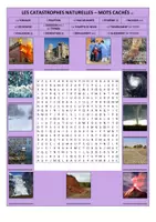 Vista previa - Juegos / Gamificación - sopa de letras francés a2 desastres naturales - Portada