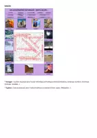 Vista previa - Juegos / Gamificación - sopa de letras francés a2 desastres naturales - página 1