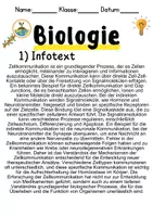 Vorschau - Unterrichtsreihen - Zellkommunikation Informationen und Arbeitsblätter - Seite 1